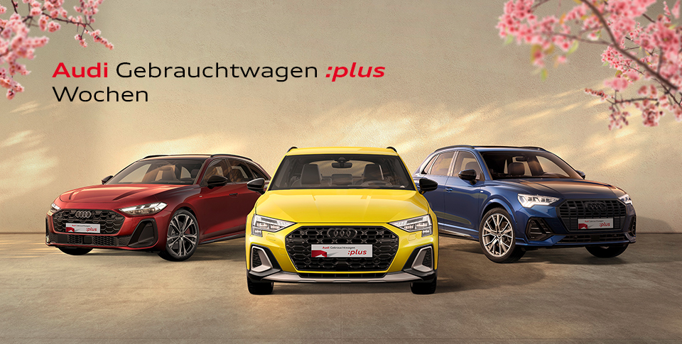 Audi A5, Audi A3 und Audi Q3 stehen nebeneinander. 